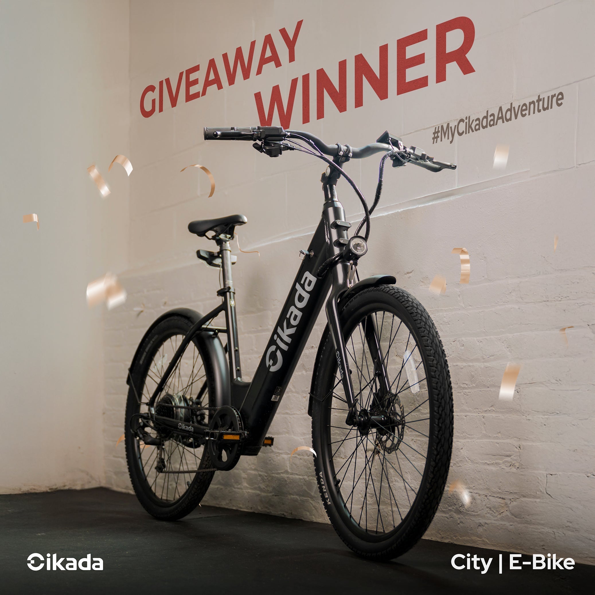 Wrapping Up the #MyCikadaAdventure Giveaway 🎉