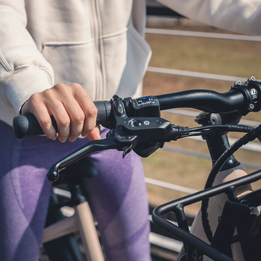 Cikada Touring E-Bike Cikada