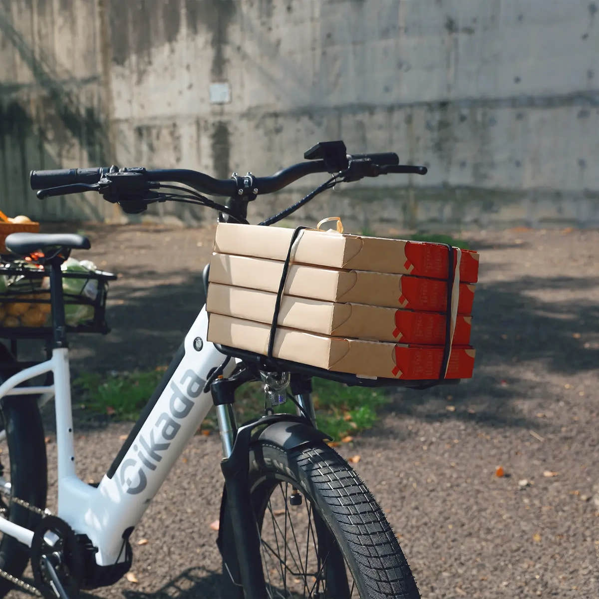 CargoFlex Strap