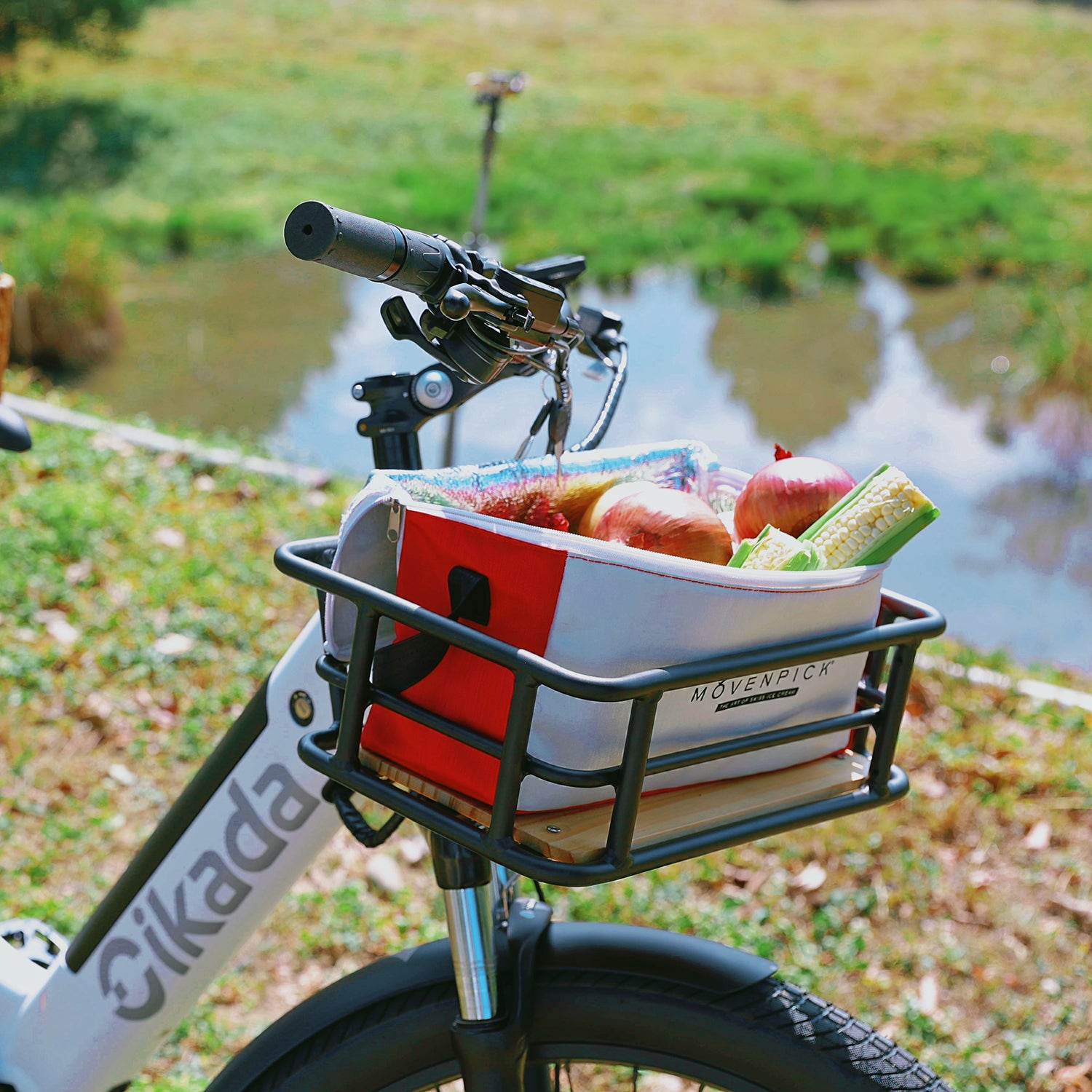 Cikada Touring E-Bike