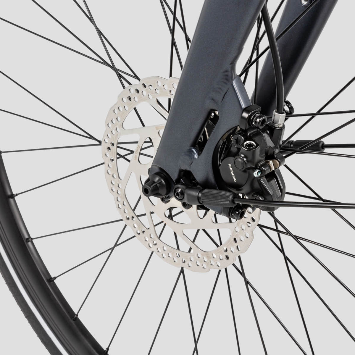 Close-up of the front wheel hub featuring a Shimano disc brake rotor and caliper on the Urban Cruise